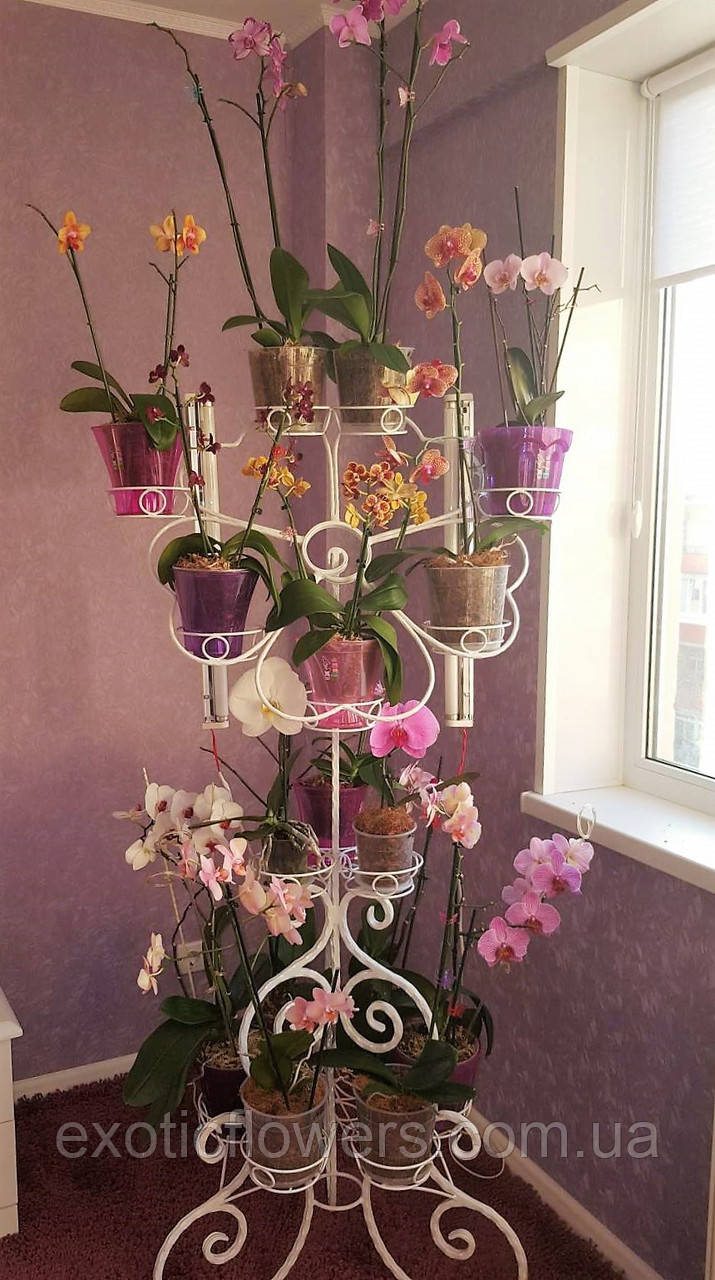 Подставка для цветов на 16 чаш "Цветок" - фото 5 - id-p346781699