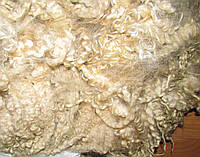 Волосы для куклы, немытые, флис, длина волоса 18-30 см. Овца.