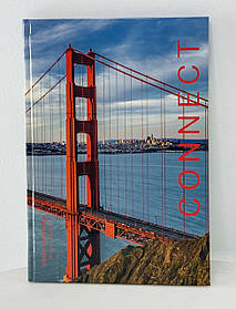 Зошит А4 Тверда обл. Connect 96 арк. Клітина 8422-565-А Axent