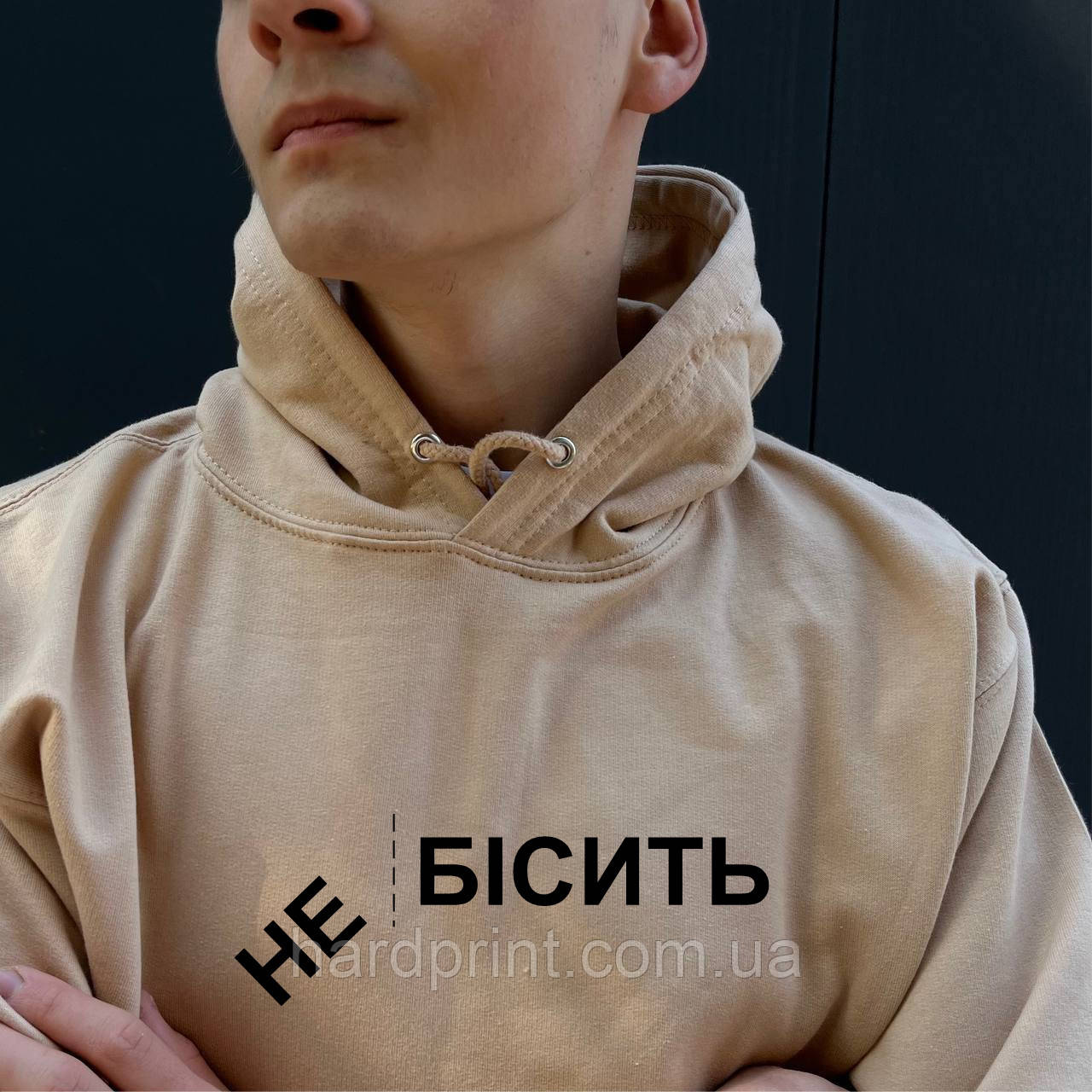Чоловіча толстовка. Тепле худи. Друк на худі фраза НЕ БІСИТЬ