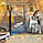 Ультразвуковий відлякувач cобак професійний зарядний, ліхтарик і режим дресування SMART SENSOR PU70, фото 5