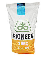 П8521, ФАО 220, семена кукурузы Пионер