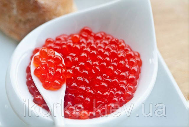 Корисні властивості ікри кіжуча зернистої купити червону ікру лососеву кіжуча в Києві з доставкою