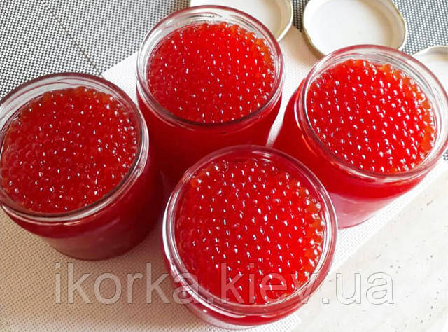 корисні властивості ікри кіжуча купити краща ціна Смак та користь від червоної ікри кіжуча для вагітних та дітей