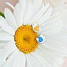 Сережки пусети срібні Пташечки із сердечком з блакитною та жовтою ємаллю, фото 10