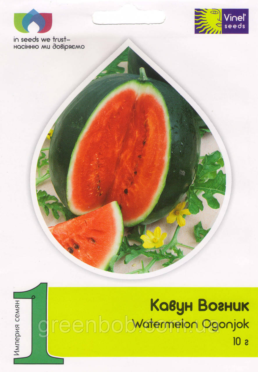 Арбуз Огонёк профессиональная упаковка ТМ Vinel` - фото 1 - id-p1984609883