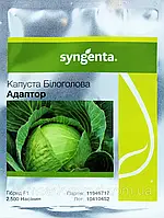 Семена капусты Адаптор F1. Упаковка 2500 семян. Производитель Syngenta.