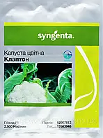 Семена капусты Клаптон F1 .Упаковка 2.500 семян. Производитель Syngenta.