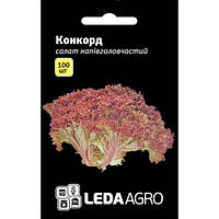 Семена салата Конкорд, 100 шт светло-зелёный, тип Лолло Росса, LEDAAGRO