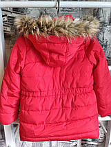 Куртка для дівчинки  COOL CLUB by Smyk р.128, фото 3