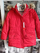 Куртка для дівчинки  COOL CLUB by Smyk р.128, фото 3