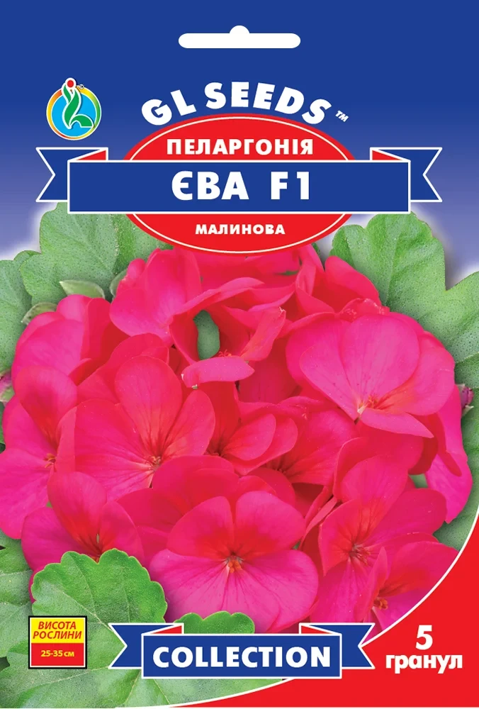 Пеларгонія Єва F1 5 шт, GL Seeds