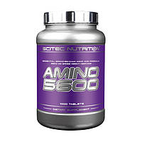 Аминокислота для спорта Scitec Nutrition Amino 5600 1000 tabs, Scitec Nutrition sexx.com.ua