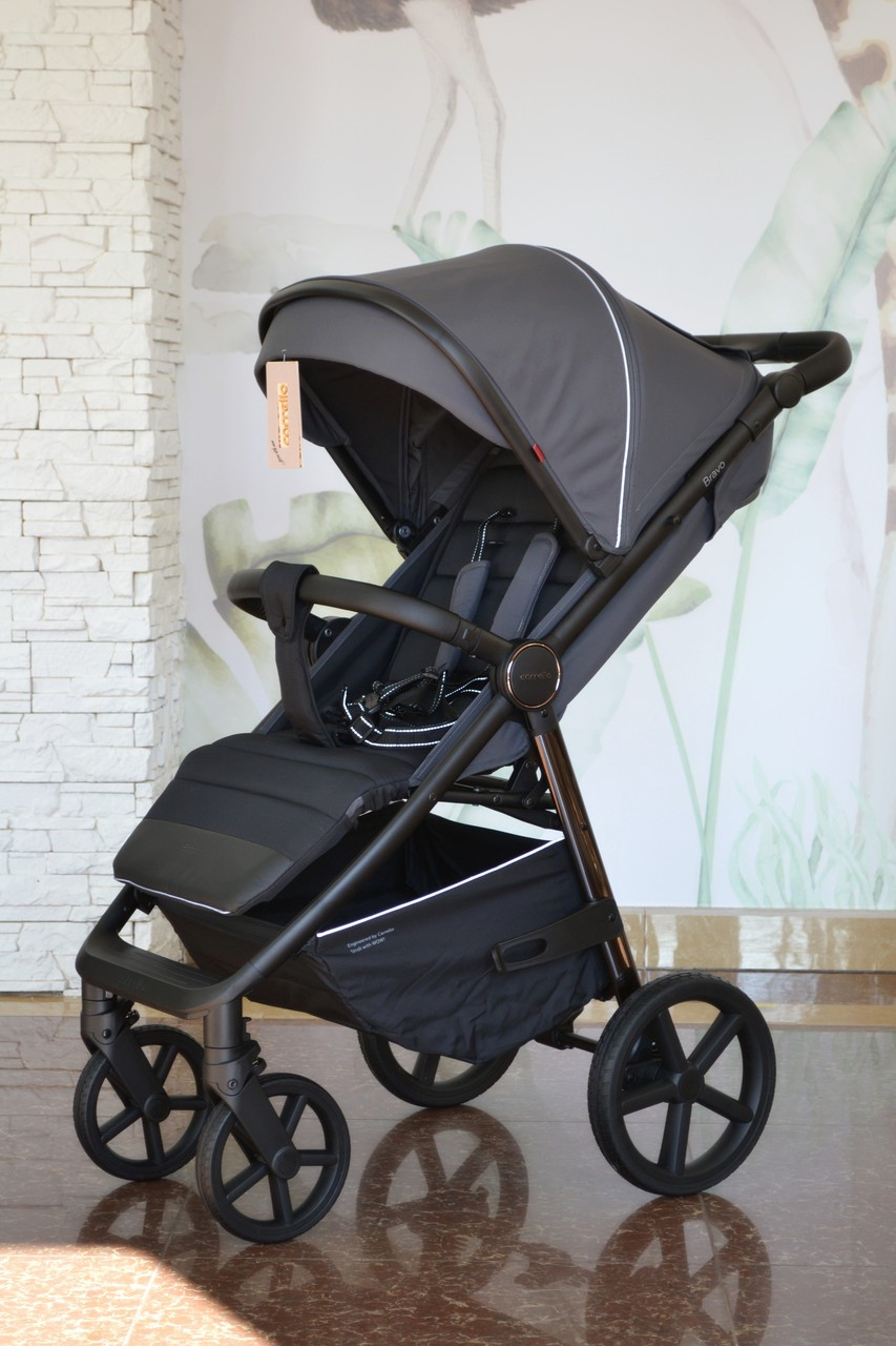 Дитяча прогулянкова коляска — книжка з регульованою спинкою Carrello Bravo CRL-5515 Storm Grey Сірий, фото 1