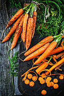 Семена весовые моркови Лакомка 0,1 кг