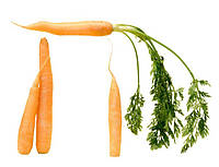 Семена весовые моркови Осенний король 0,1 кг