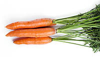 Семена весовые моркови Сладкая зима 0,1 кг