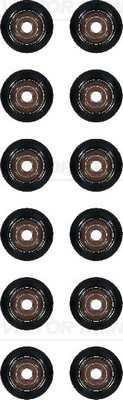Сальник клапана (впуск) BMW 5 (E60)/6 (E63) 04-10 (к-кт), B58/N51/N52/N53/N55 12-36866-01 (VICTOR REINZ)
