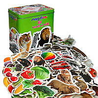 Набір магнітів Тварини Транспорт Фрукти Залізна коробка 110 елементів Magdum Україна (ML4031-63 EN)