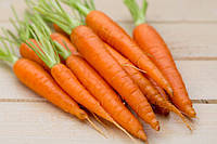Семена моркови Голландка 0,1 кг