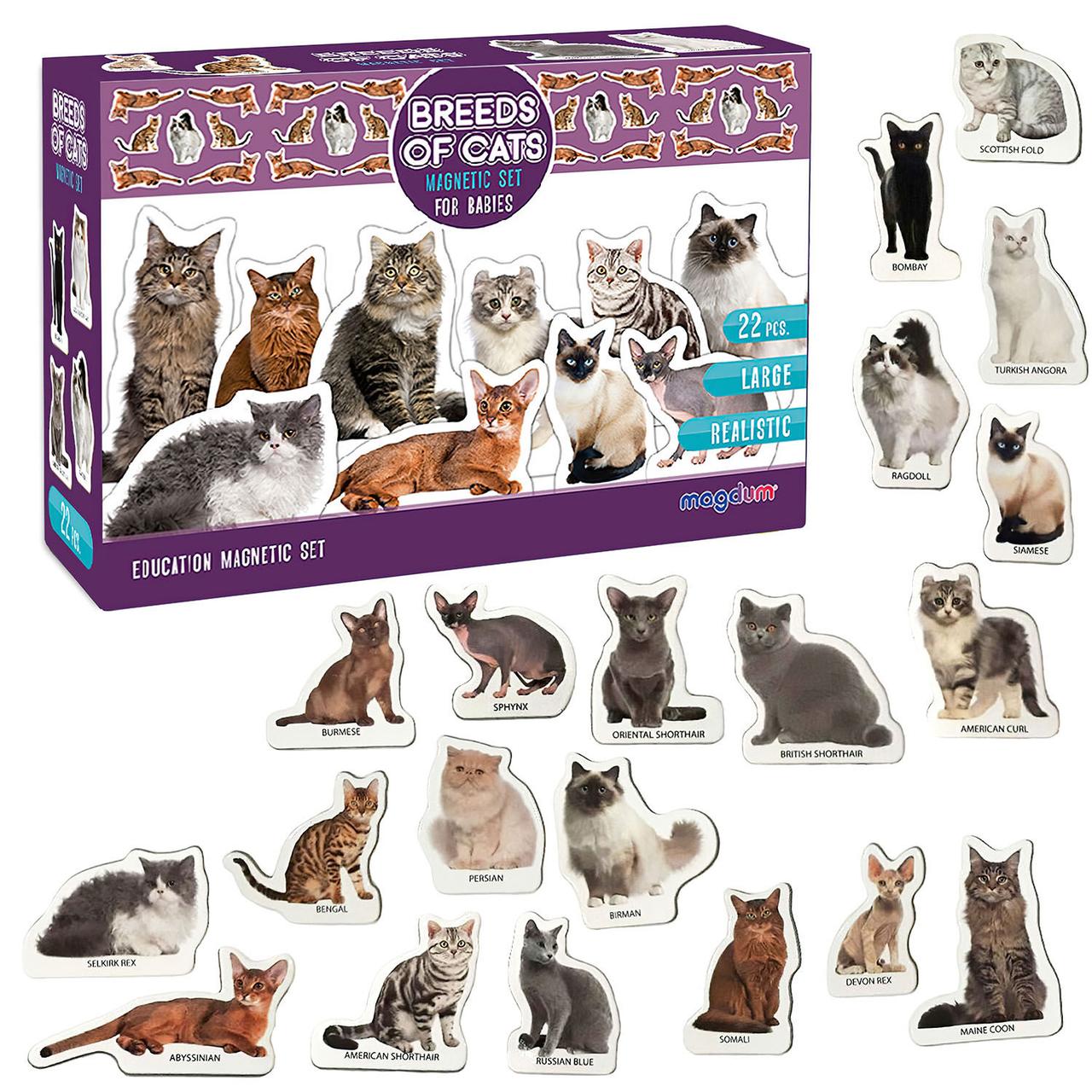 Набір магнітів Породи котів 22 елемента Magdum Україна (ML4031-13 EN)