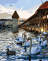 Картина Рисование по номерам Животные Набор для росписи Лебеди на воде Птицы 30x40 Strateg SS-6475