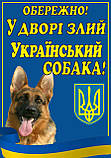 Табличка " Обережно у доврі злий собака, пес ", фото 2