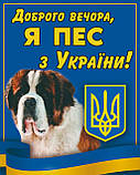 Табличка " Обережно у доврі злий собака, пес ", фото 7
