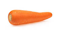 Семена весовые моркови Артек 0,1 кг