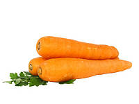 Семена весовые моркови Мармеладка 0,1 кг