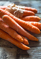 Семена весовые моркови Зимний нектар 0,1 кг