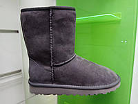 Женские UGG Classic Short Origina Gray угги серые классик оригинал