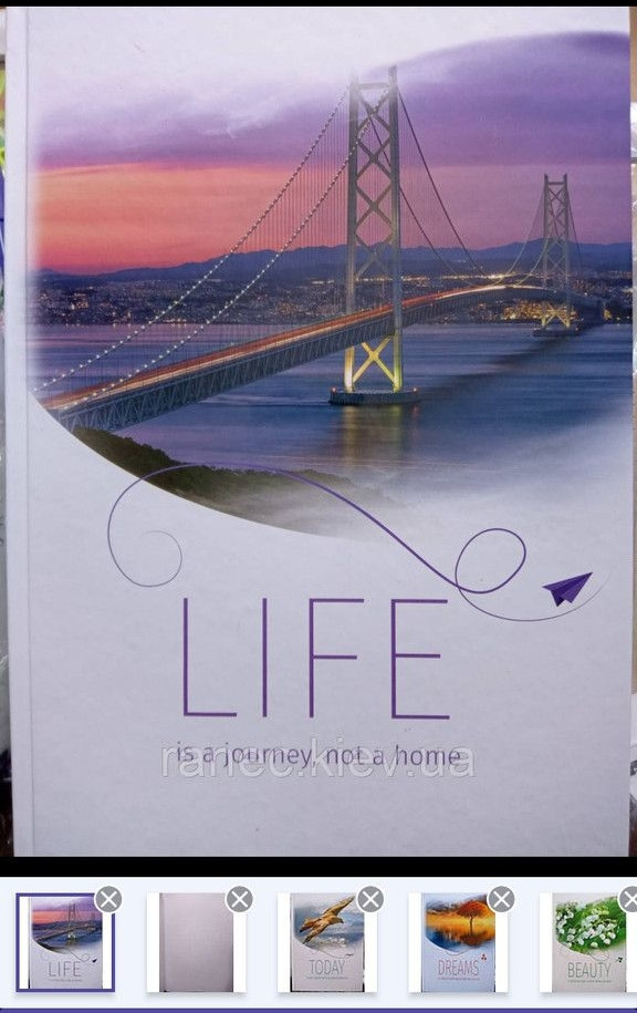 Ділова книга 96 аркушів Ф-А4 тверда палітурка (блок - офсетний папір, клітина, обкладинка повнокольорова,, фото 1