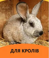 Корми для кроликів