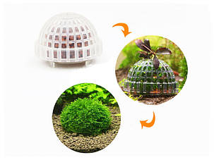 Декорация, AQUAXER Moss Ball for aquascape., фото 3