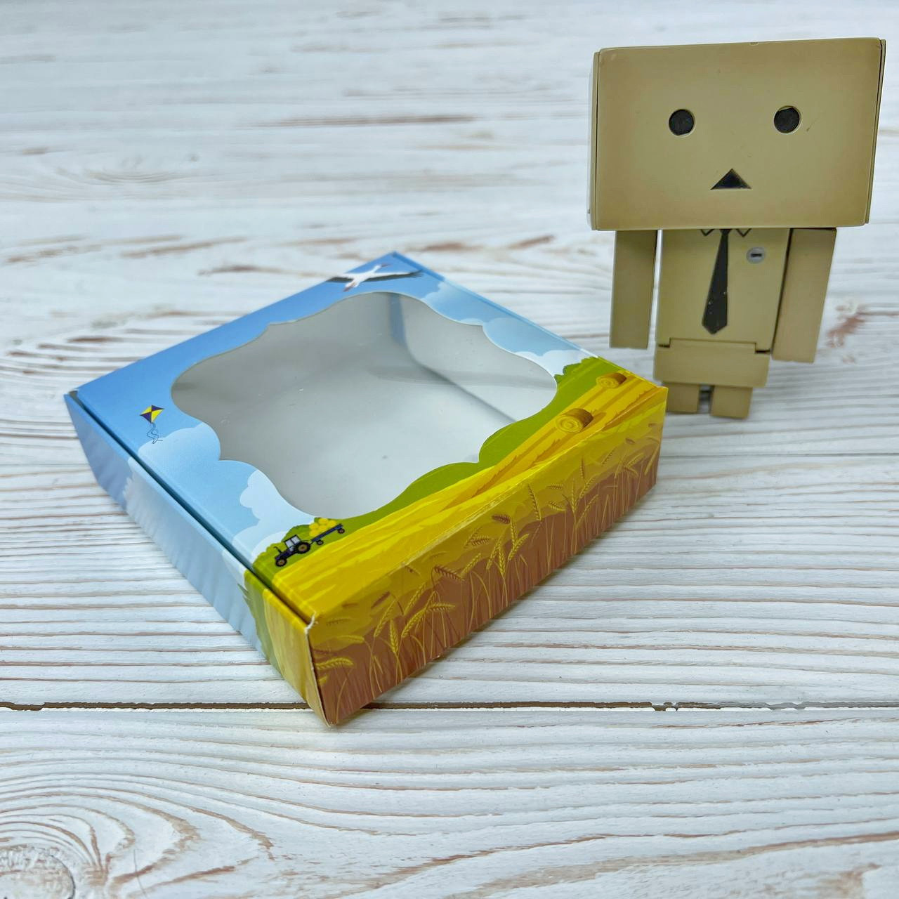 *10 шт* / Коробка / 100х100х30 мм / друк-Хатинка / вікно-звичайн / укр