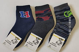 Шкарпетки дитячі Friendly Socks 3031020-002 сер. махра різні кольори р.20 (уп.12 пар)