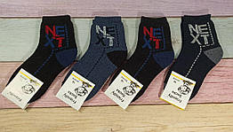 Шкарпетки дитячі Friendly Socks 3031018-008 сер. махра різні кольори р.18 (уп.12 пар)