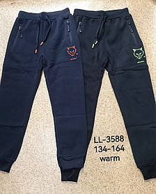 Спортивні утеплені штани для хлопчика гуртом, Sincere, 134-164 см, No LL-3588