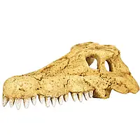 Череп крокодила Repti-Zoo Crocodile Skull M 18x10x5.5см (ERS34M)