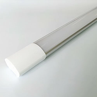 Линейный LED светильник Biom LN-2-36-1200-6 36W 6200К 1200mm SLIM настенно-потолочный