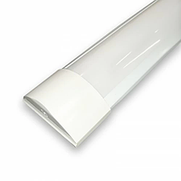 Линейный LED светильник Biom LN-3-50-1200-6 50W 6200К 1200mm настенно-потолочный