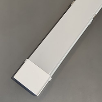 Линейный LED светильник Biom LN-4-60-1200-6 60W 6000К 1200mm настенно-потолочный