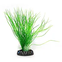 Искусственное растение Hobby Sagittaria 20см (41502)