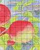 Набір для вишивання за нанесеною на канву схемою "Birds and apples". AIDA 14CT printed 47*37 см, фото 4