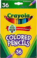 Набір кольорових олівців Crayola Colored Pencils 36 шт.