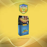 Кукурудза ДКС 3939 ФАО 320