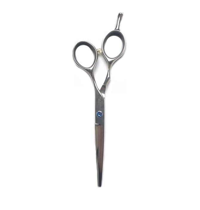 Ножиці для стрижки PROline 5.5" з каменем (SK103S), фото 1