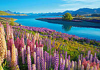 Пазлы Озеро Текапо Новая Зеландия на 500 элементов