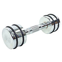 Гантель для фітнесу 4 кг хромована Record (1 шт.) DB5204-4